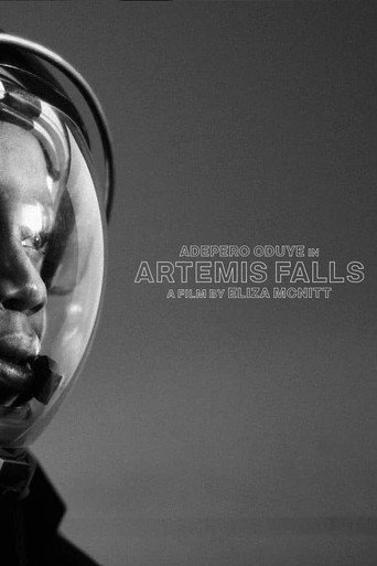 Artemis Falls poster