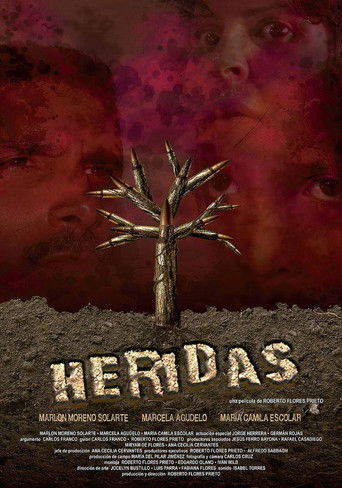 Heridas poster
