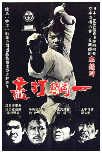 Movie poster for The Thunder Kick (1974)