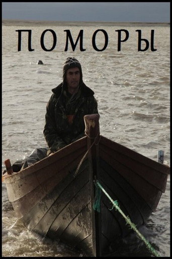 Movie poster for Pomors (2013)