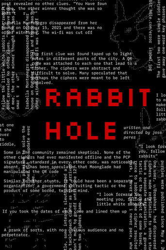 Movie poster for Rabbit Hole