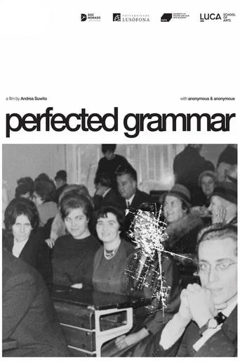 Movie poster for Perfected Grammar (2024)