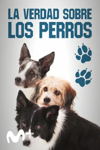 Movie poster for Dog Tales (2020)