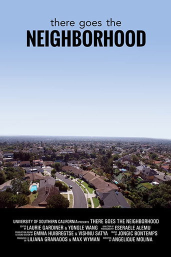 Movie poster for There Goes the Neighborhood (2017)