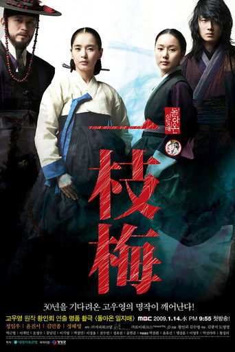 The Return of Iljimae poster