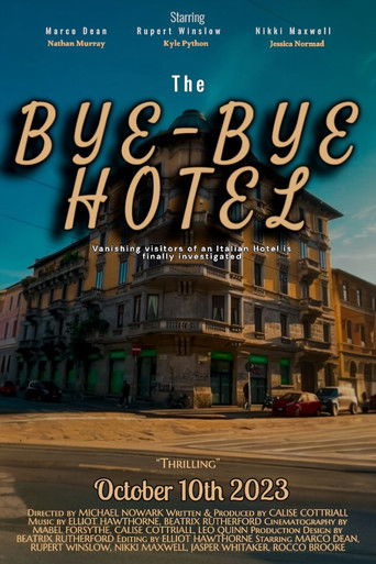 The Bye-Bye Hotel poster