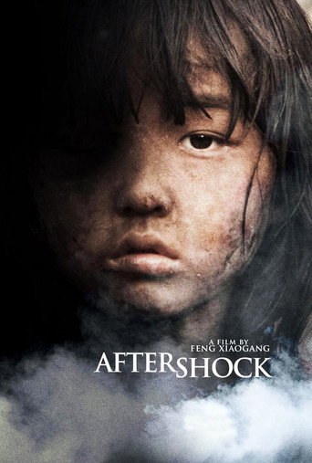 Movie poster for Aftershock (2010)