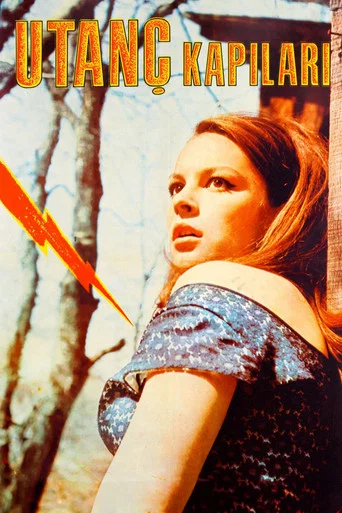 Movie poster for Utanç Kapıları (1967)