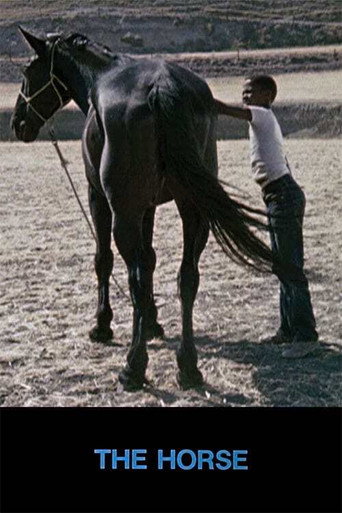 Movie poster for The Horse (1973)
