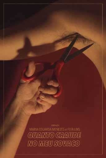 Movie poster for Quanto Craude no Meu Sovaco (2017)