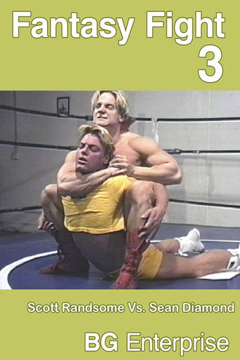 Movie poster for Fantasy Fight 3 (1995)