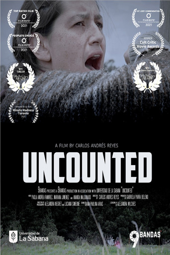 Movie poster for Uncounted (2021)