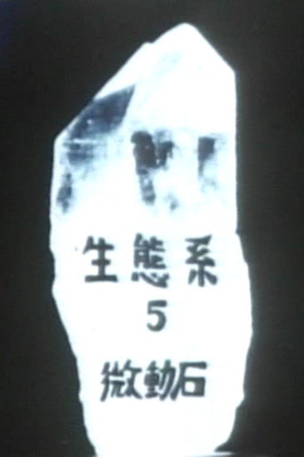 Movie poster for Ecosystem 5 ~ A Tremulous Stone (1988)