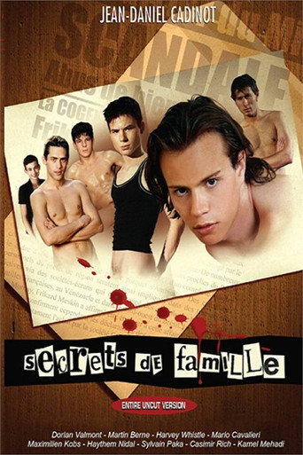Movie poster for Secrets de famille (2004)