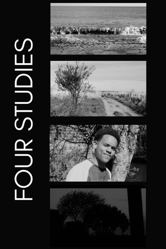 Movie poster for Four Studies