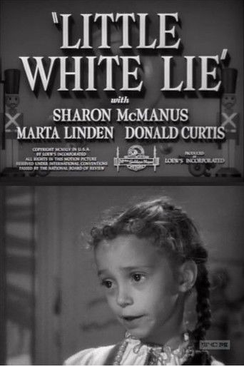 Little White Lie poster