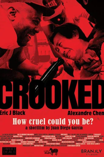 Movie poster for Crooked