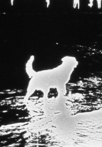 Movie poster for Waterfall (1968)