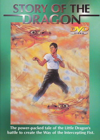 Movie poster for The Story of the Dragon (1976)