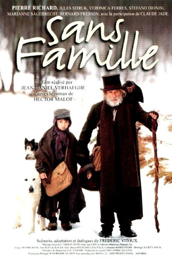 Sans famille poster