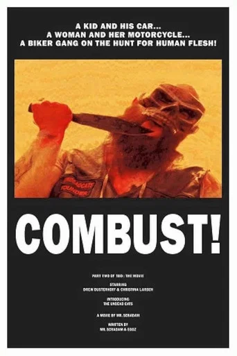 Movie poster for Combust! (2016)