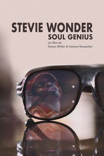 Movie poster for Stevie Wonder - Soul Genius (2013)