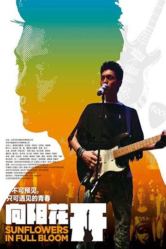 Sunflowers in full bloom poster