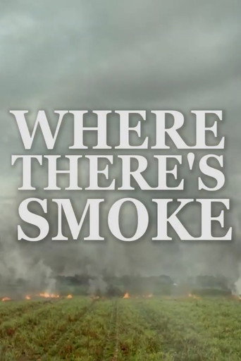 Movie poster for Where There’s Smoke (2023)