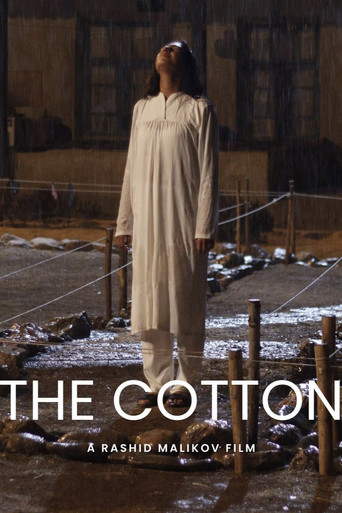 Movie poster for Cotton (2025)
