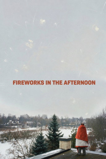 Movie poster for Fireworks in the Afternoon (2026)