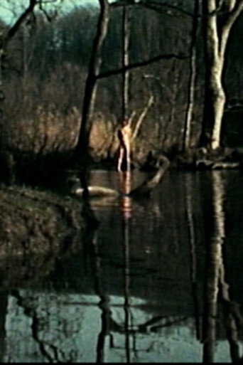 Movie poster for Mapalé