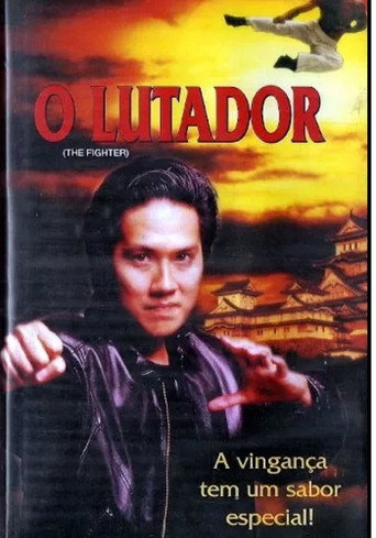 Movie poster for The Fighter (1995)