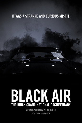 Movie poster for Black Air: The Buick Grand National Documentary (2012)
