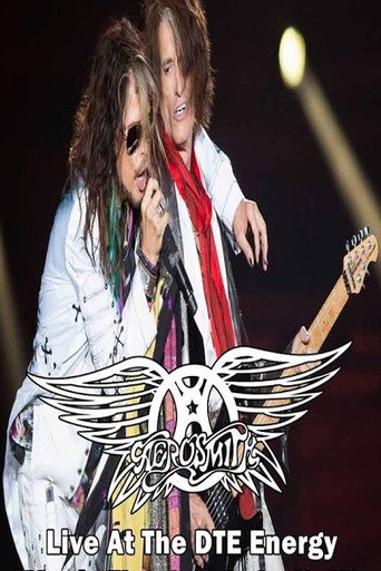 Aerosmith Live in Detroit poster