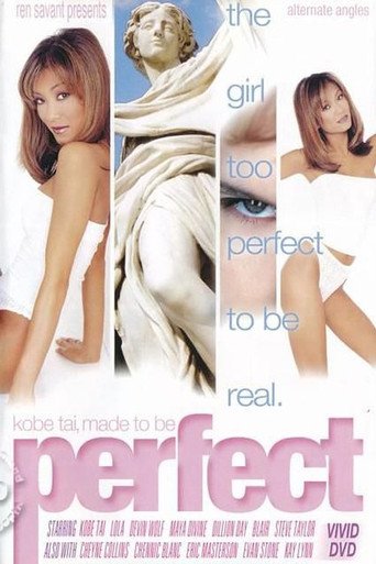 Movie poster for Perfect (2003)