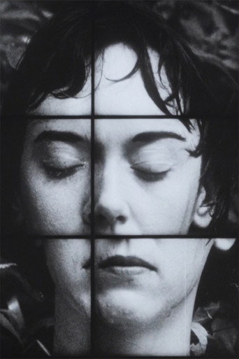 Movie poster for A Temporary Arrangement (1995)