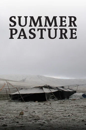 Movie poster for Summer Pasture (2011)