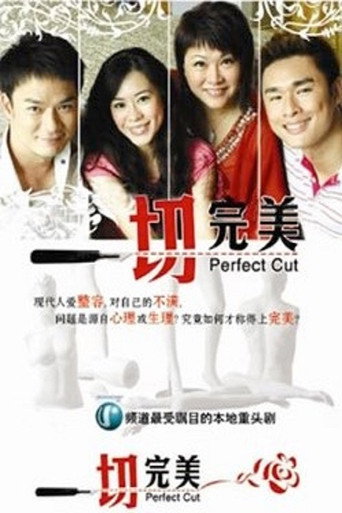 Perfect Cut poster