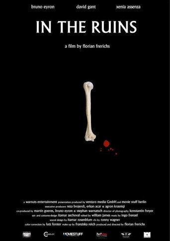 In the Ruins poster