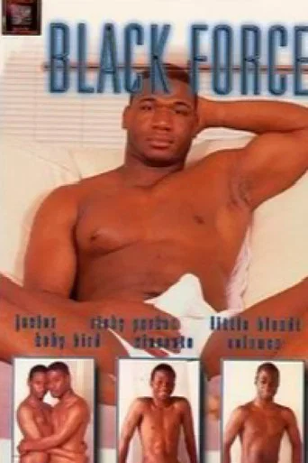 Movie poster for Black Force (2001)