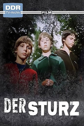 Der Sturz poster