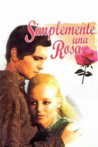 Simplemente una rosa poster