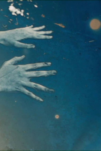 Movie poster for Markings 1-3 (2012)