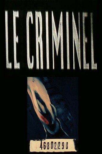 Movie poster for The Criminals (1993)