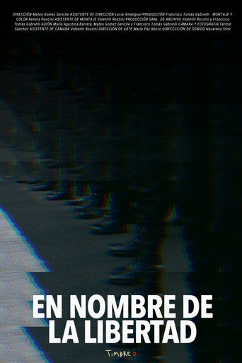 Movie poster for In the Name of Liberty (2024)