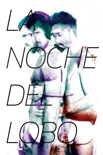 Movie poster for The Night of the Wolf (2014)