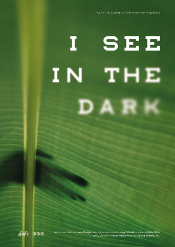 Movie poster for I See in the Dark (2019)