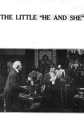 Movie poster for The Little 'He and She' (1914)