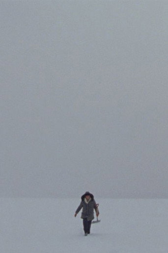 Movie poster for Lake (2019)