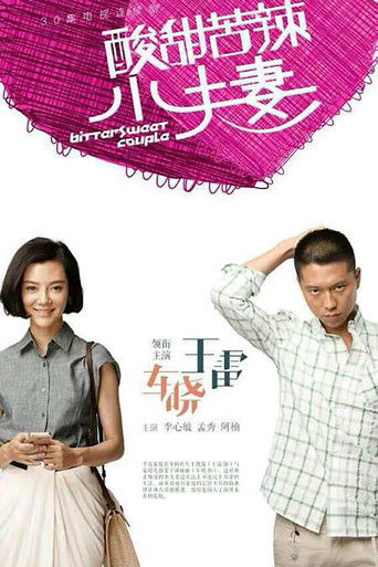 酸甜苦辣小夫妻 poster